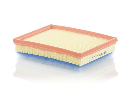 Filtr Powietrza C 24 036