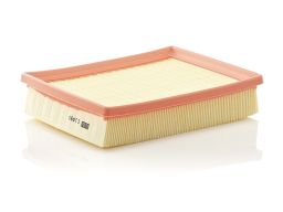 Filtr Powietrza C 2490
