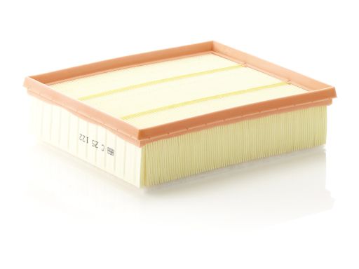 Filtr Powietrza C 25 122