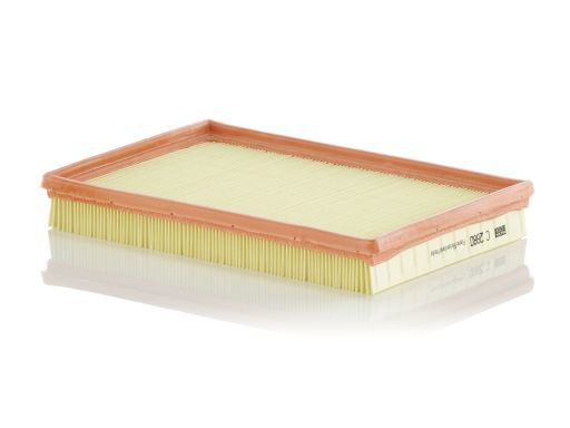 Filtr Powietrza C 2880