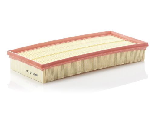 Filtr Powietrza Land Rover Discovery Iv V Range Rover Iii Iv