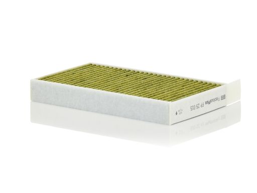 Filtr Kabiny Fp 25 015