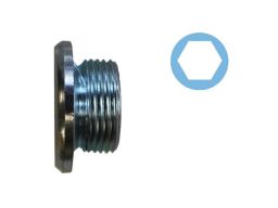 Korek Spustowy Oleju 220081H