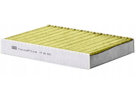 Filtr Kabiny Fp 21 003