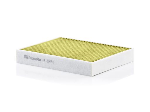 Filtr Kabiny Fp 2847/1