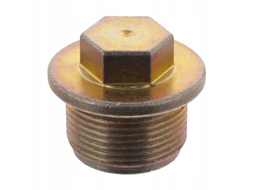 Korek Spustowy Oleju 19294