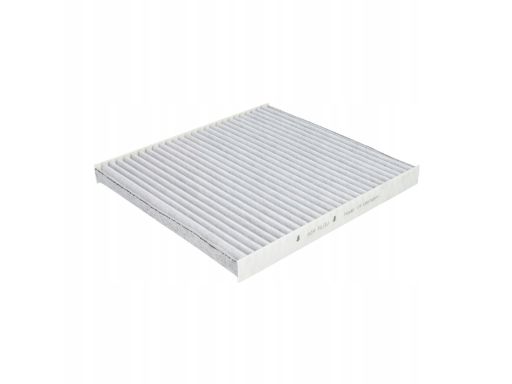 Filtr Kabiny 80001752