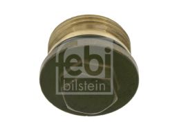 Pokrywa Piasty Koła 22529