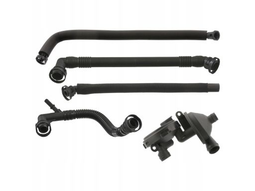 Zawór Odpowietrzenia Skrzyni Korbowej 46303