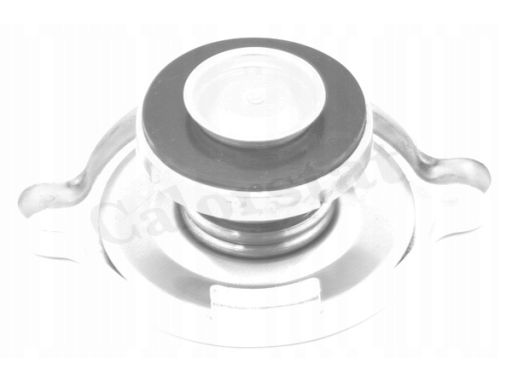 Korek Chłodnicy Rc0049