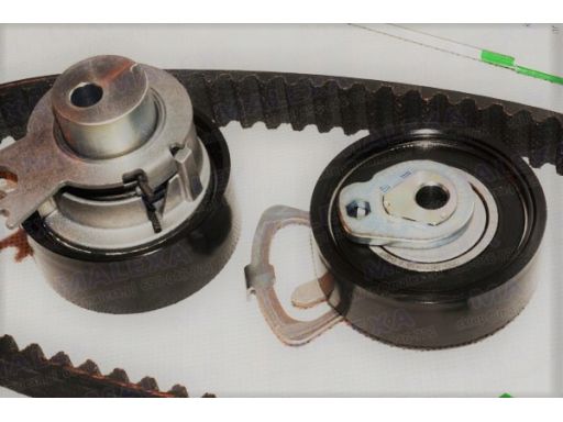 Zestaw Paska Rozrządu 530 0089 10