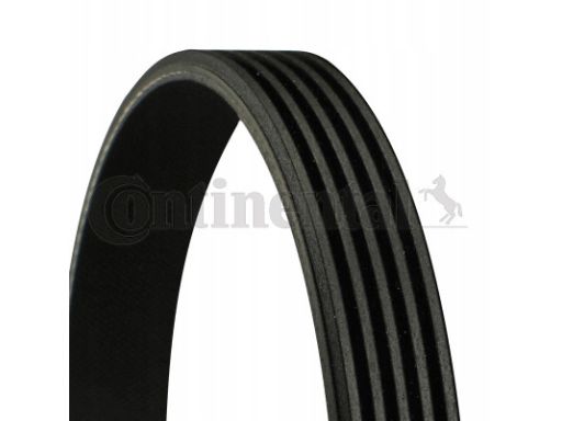 Pasek Wieloklinowy 5Pk1005