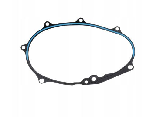 Uszczelka Osłony Rozrządu 876.673