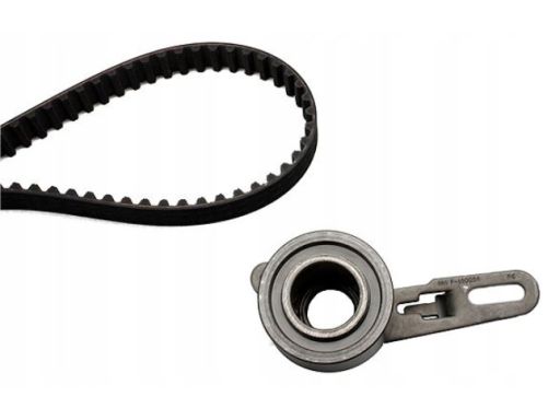 Zestaw Paska Rozrządu 530 0138 10