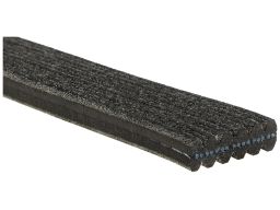 Pasek Wieloklinowy 6Dpk1195