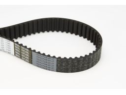Pasek Rozrządu Ct1145