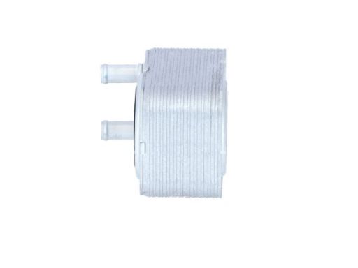 Chłodnica Oleju 31168