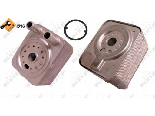 Chłodnica Oleju 31168