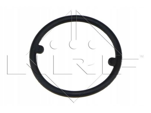 Chłodnica Oleju 31168