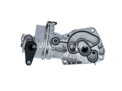 Chłodnica Oleju 31354