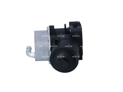 Chłodnica Oleju 31838