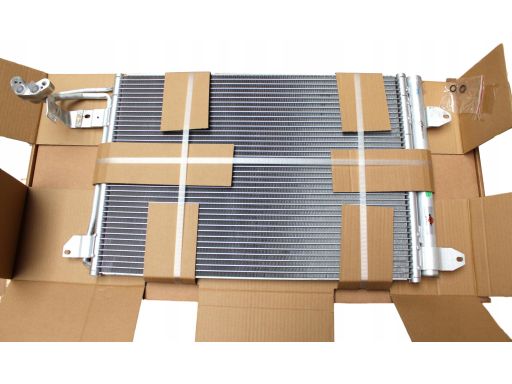 Chłodnica Silnika 58067