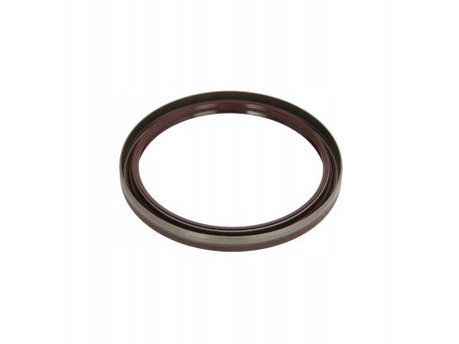 Uszczelniacz Wału Korbowego 419.700