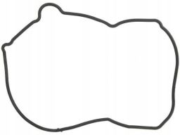 Uszczelka Pokrywy Rozrządu 902.970