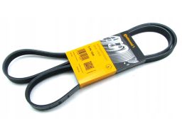 Pasek Wieloklinowy 6Pk1605