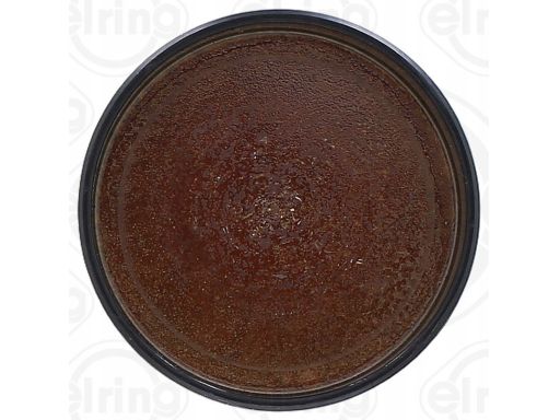 Zaślepka Wałka Rozrządu 215.870