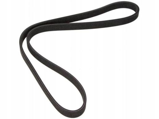 Pasek Wieloklinowy 6Dpk1195