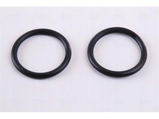 Chłodnica Silnika 652711