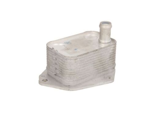 Chłodnica Oleju D405003Tt