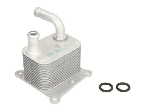 Chłodnica Oleju D4G011Tt