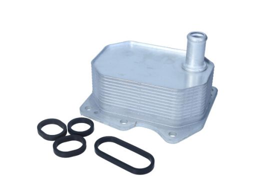 14-0070 Chłodnica Oleju Ford Transit 2.2Tdci/2.4 Maxgear