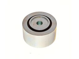 54-0169 Rolka Paska Wielorowk. Fiat 2,0Jtd Maxgear