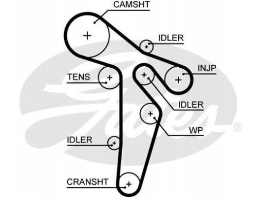 Zestaw Paska Rozrządu + Pompa Cieczy Chł Kp15648Xs-1