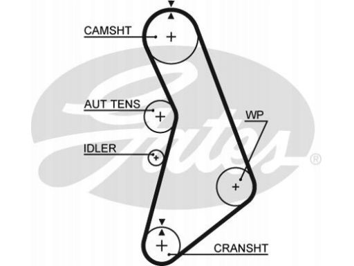 Pasek Rozrządu 5491Xs