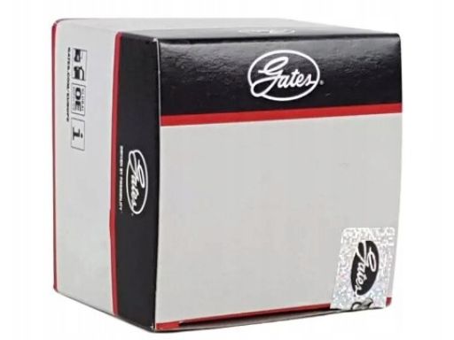 Pasek Rozrządu 5577Xs