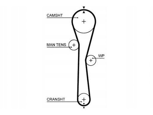 Pasek Rozrządu 5577Xs