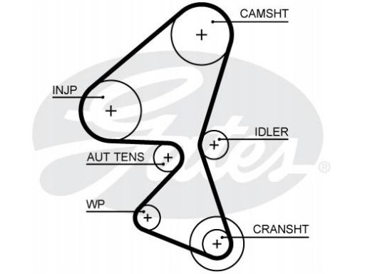 Zestaw Paska Rozrządu K015688Xs