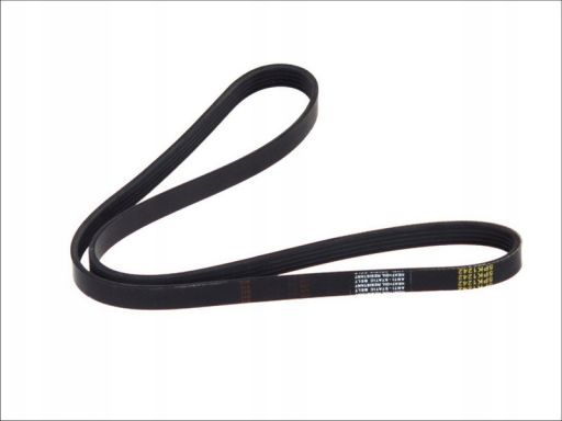 Pasek Wieloklinowy 6.31507