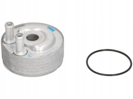 Chłodnica Oleju 31184