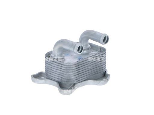 Chłodnica Oleju 31206