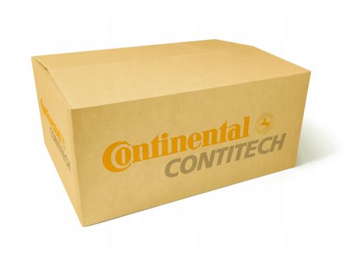 Pasek Rozrządu Ct1230