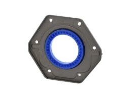 Uszczelniacz Wału Korbowego 12016918B