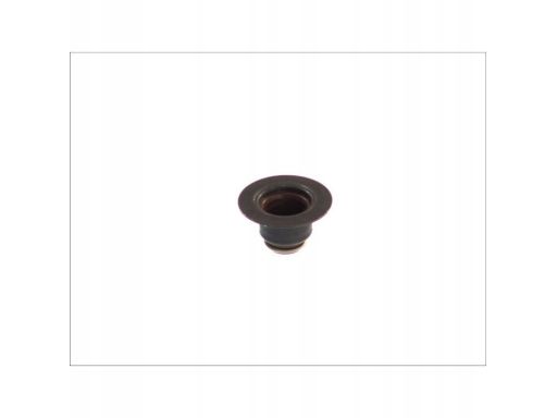 Uszczelniacz Trzonka Zaworu 19036300
