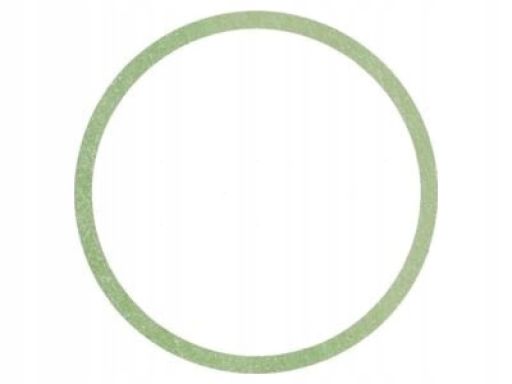 Uszczelka Termostatu 977.447