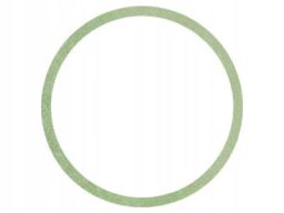 Uszczelka Termostatu 977.447