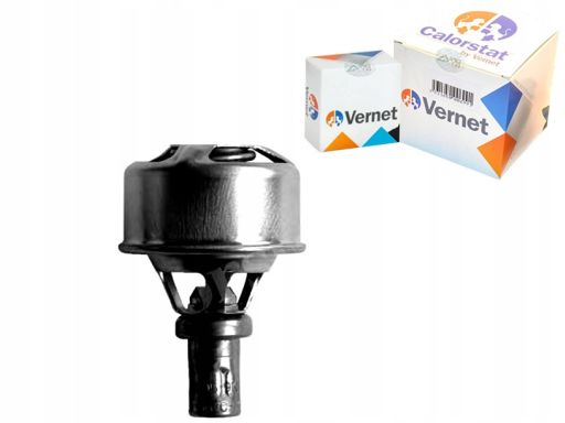 Termostat Środka Chłodzącego Th4495.86